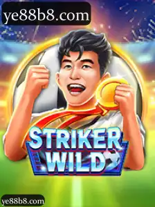 StrikerWILD